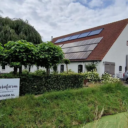 Mariafarm Boutique