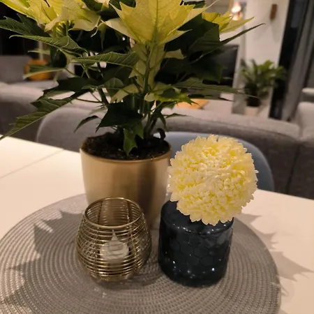 Frühstückspension Mariafarm Zevenbergen