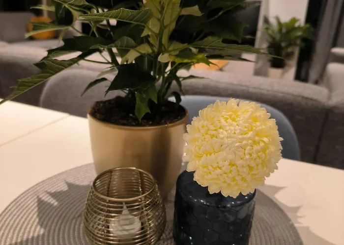 Bed & Breakfast Mariafarm Zevenbergen