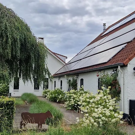 Mariafarm Boutique