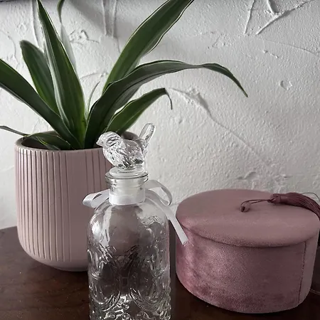 Mariafarm Boutique